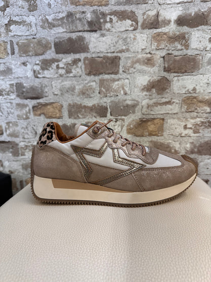 CETTI C-1375 SATURNO