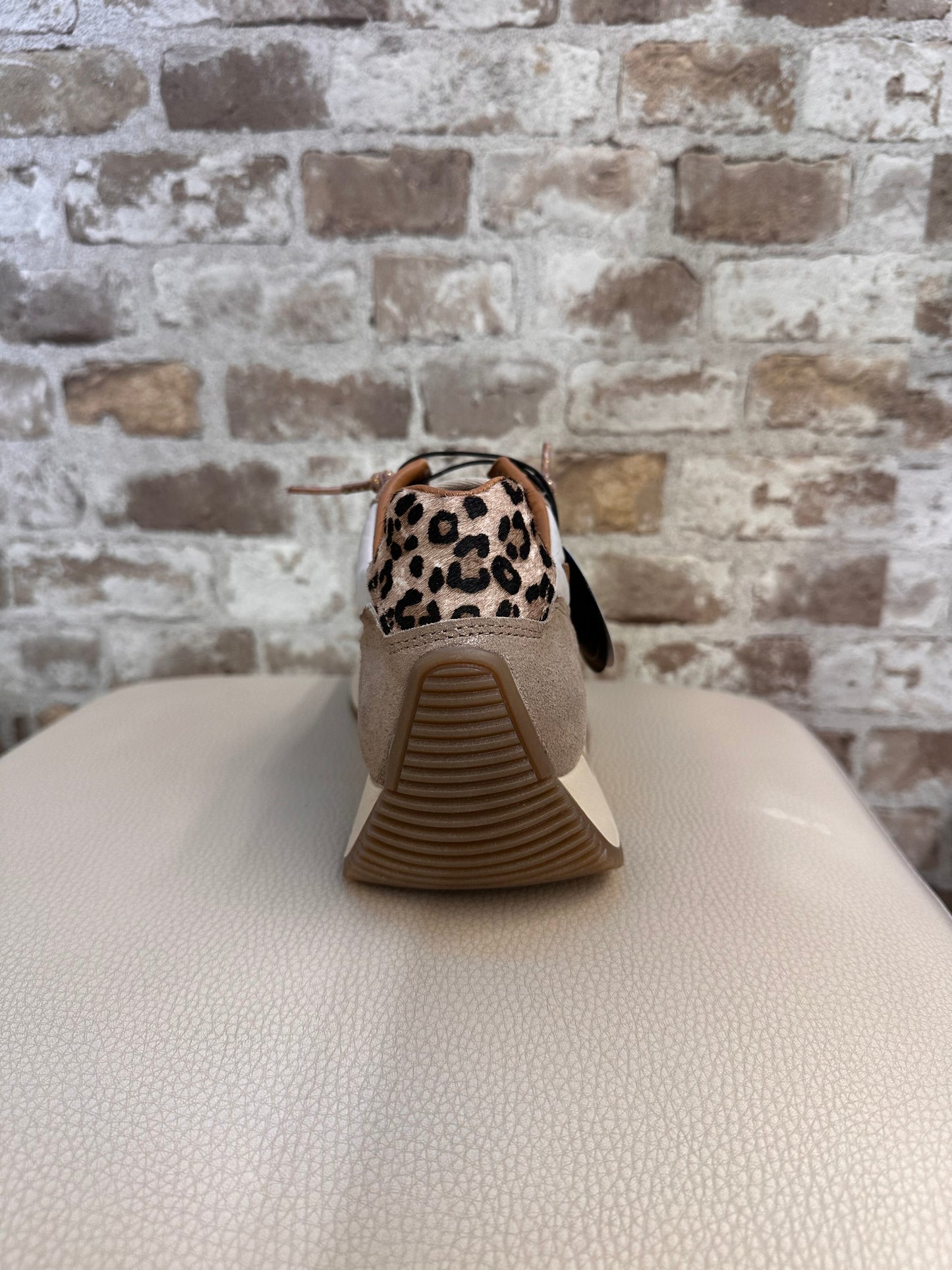 CETTI C-1375 SATURNO