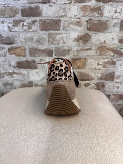 CETTI C-1375 SATURNO