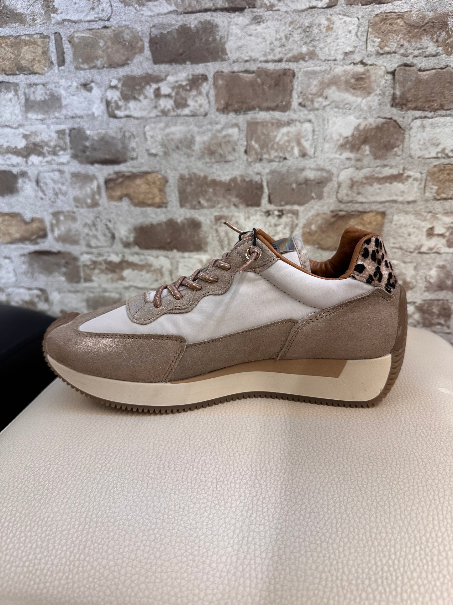 CETTI C-1375 SATURNO