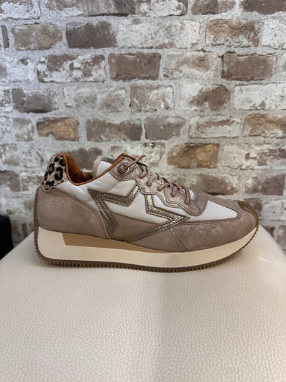 CETTI C-1375 SATURNO