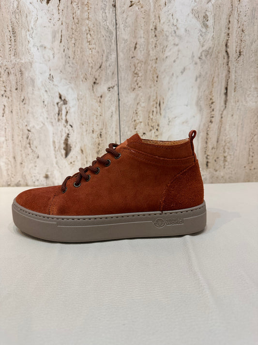 NATURAL WORLD 927 BRONCE